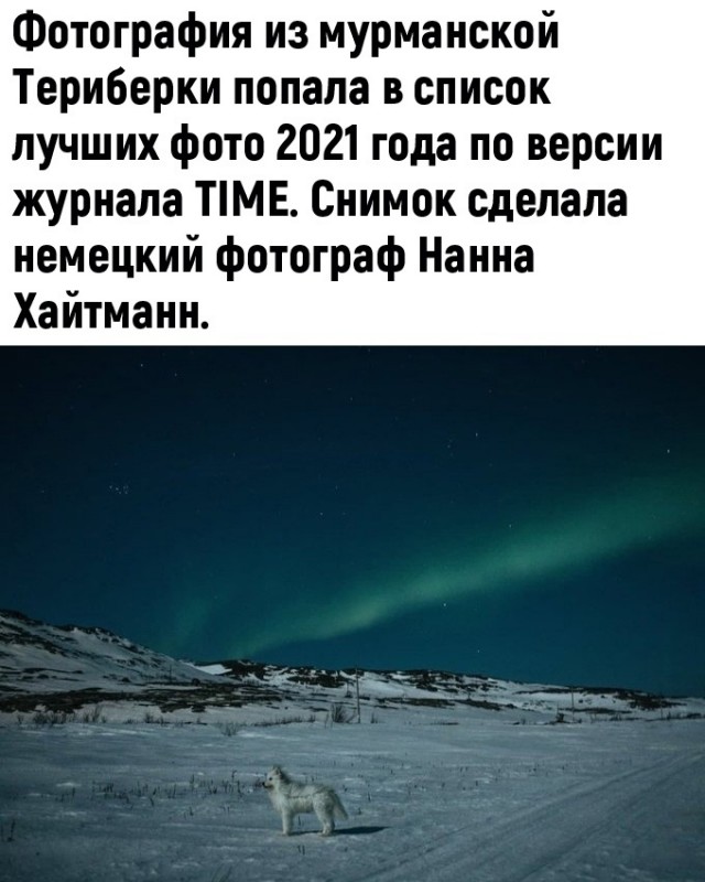 Так себе картинки 13.12.21