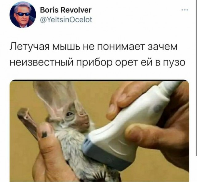 Картинки и мемы для настроения 18.01.2022