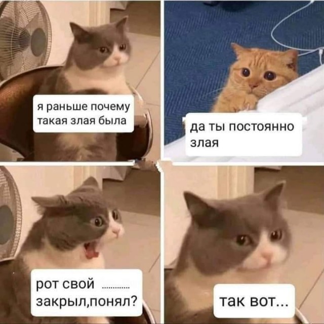 Картинки 12.02.22