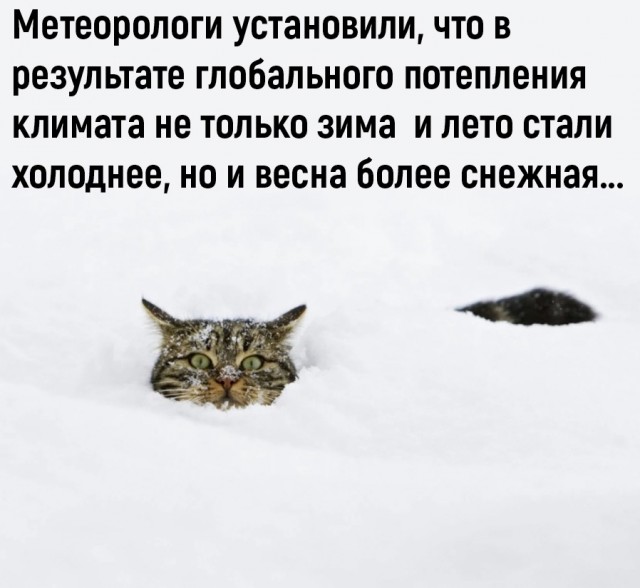 Так себе картинки 03.04.22