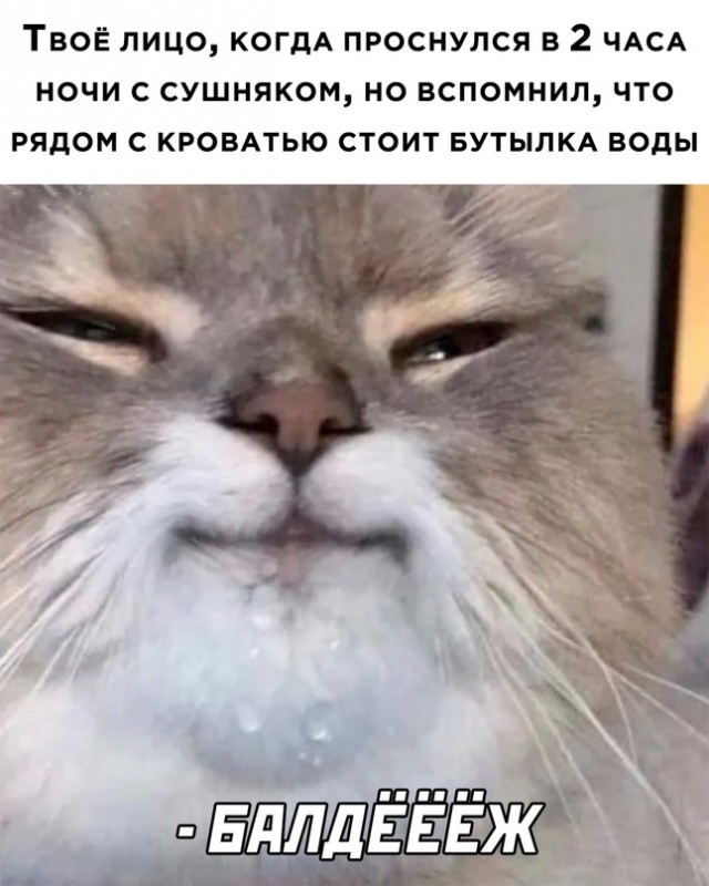 Картинки и мемы для настроения, выходные не за горами