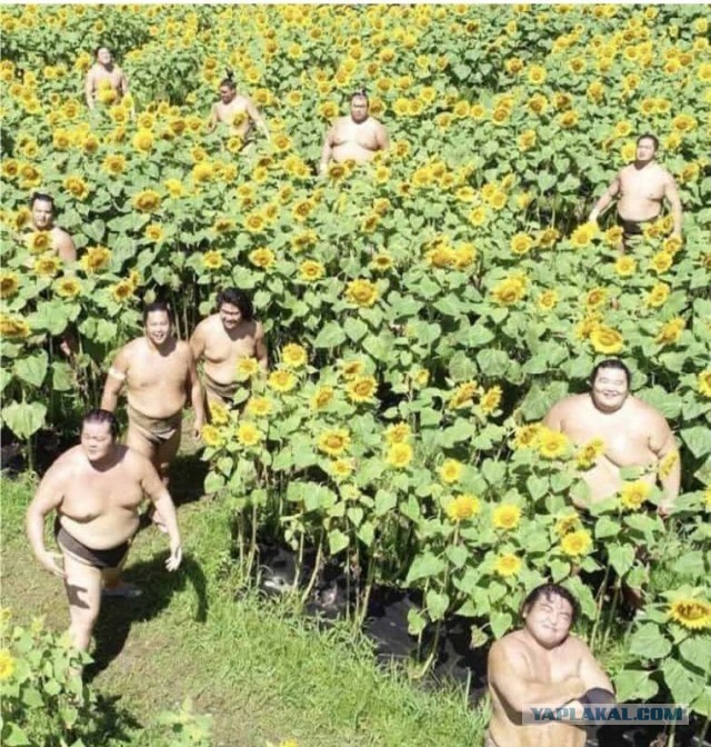 Интересные и редкие ретро-фотографии 06.06.2022