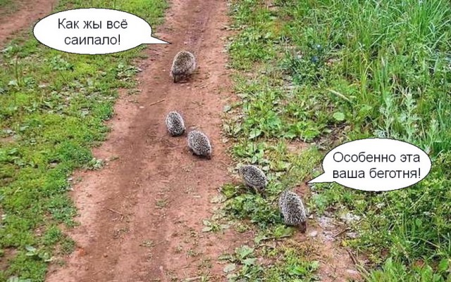 Вместо брака. Как оформить отношения парам, которые не хотят идти в загс: объясняет юрист