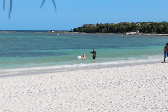 Поездка в Мексику (за деньги)