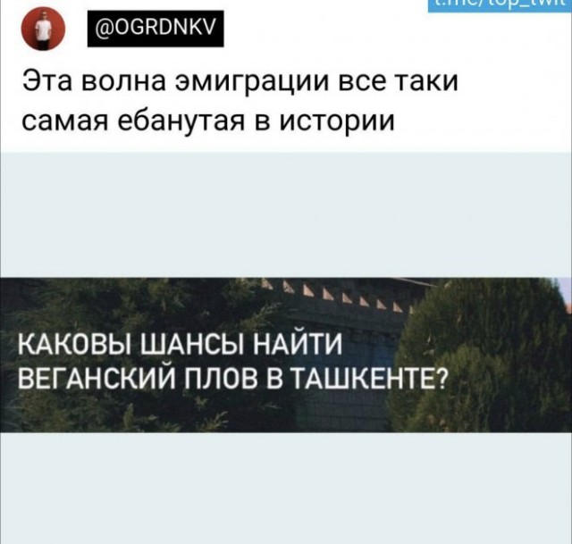 Немного картинок для настроения - 114