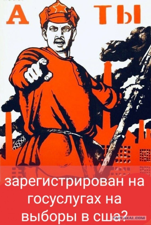 А я на эти выборы не пойду, был бы Трамп, проголосовал бы, вот он кандидат от народа!
