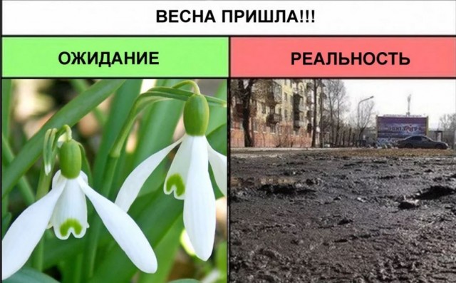 Победная поступь идиотизма по планете – том 4
