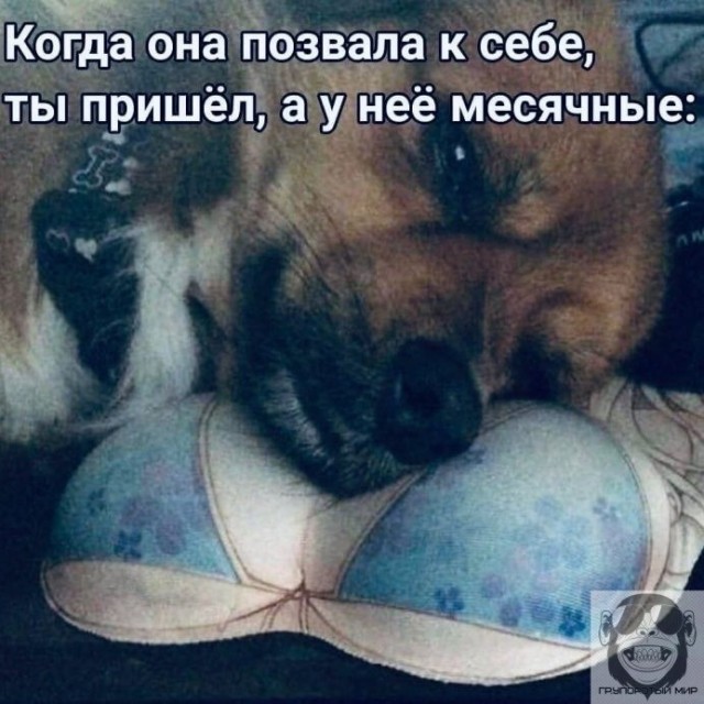 Юмор в картинках и без