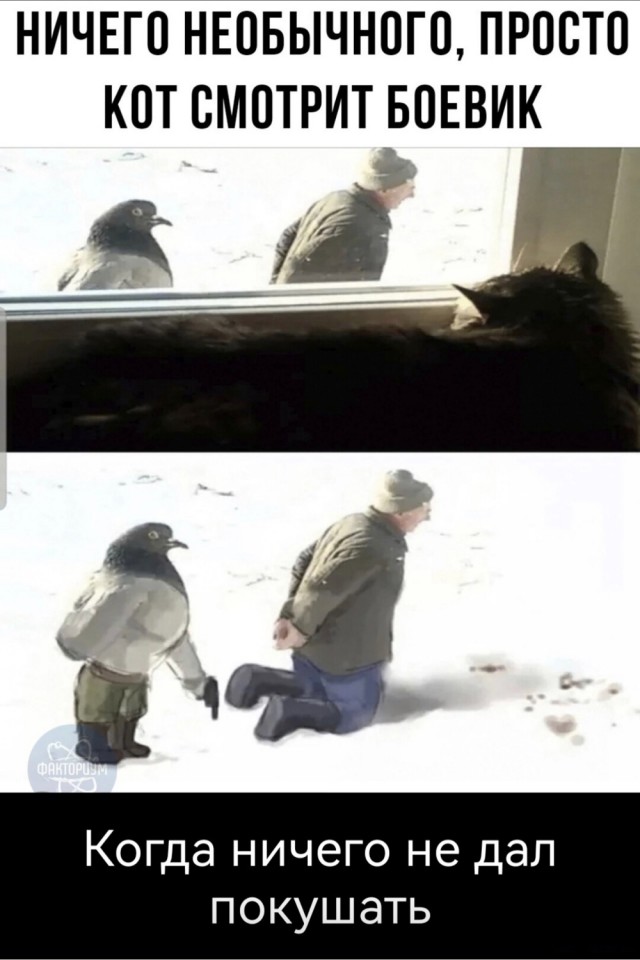 Весёлый полтишок 21.03.23