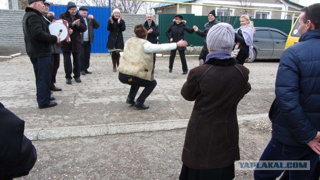 Крым в феврале или "Не стреляйте в белых лебедей!"