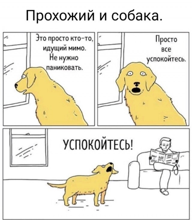 Так себе картинки 21.07.23