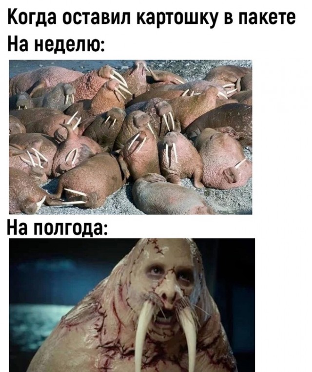 Одиннадцатая подборка самых баянистых баянов! Ностальгируем...