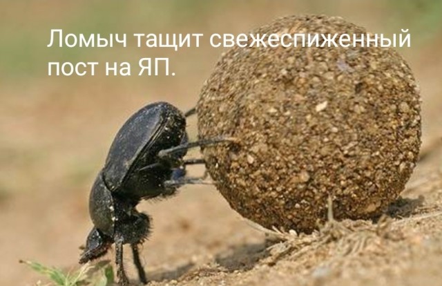 Такая вот ирония судьбы