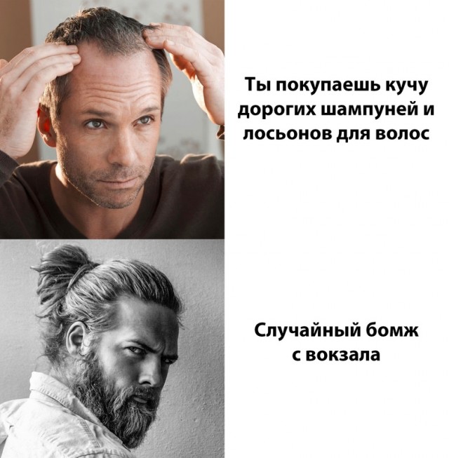 Весёлый полтишок 11.01.23