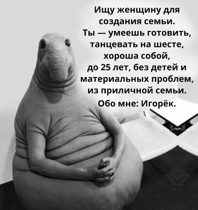 Брачное объявление (бабы налетай)