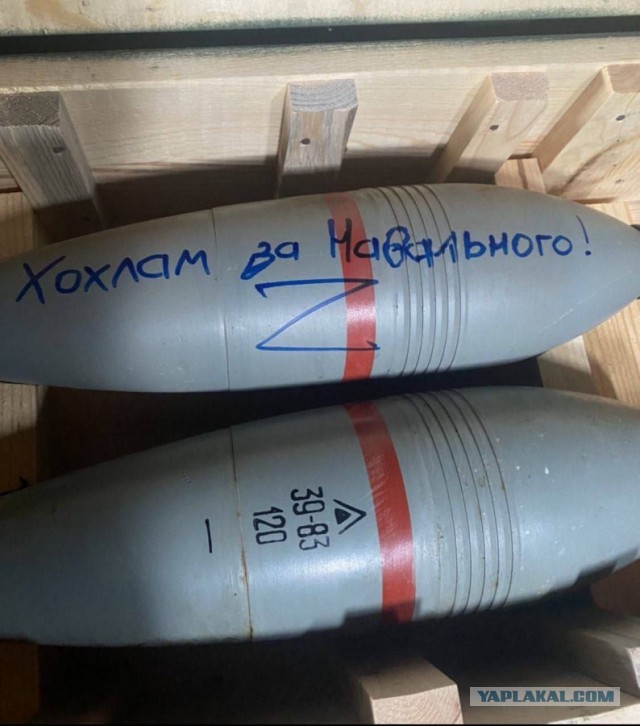 ⚡️ Алексей Навальный умер в исправительной колонии «Полярный волк» в посёлке Харп