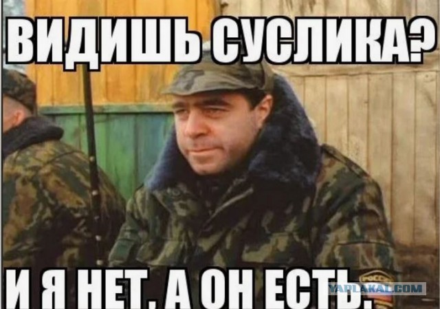 Куча веселых картинок