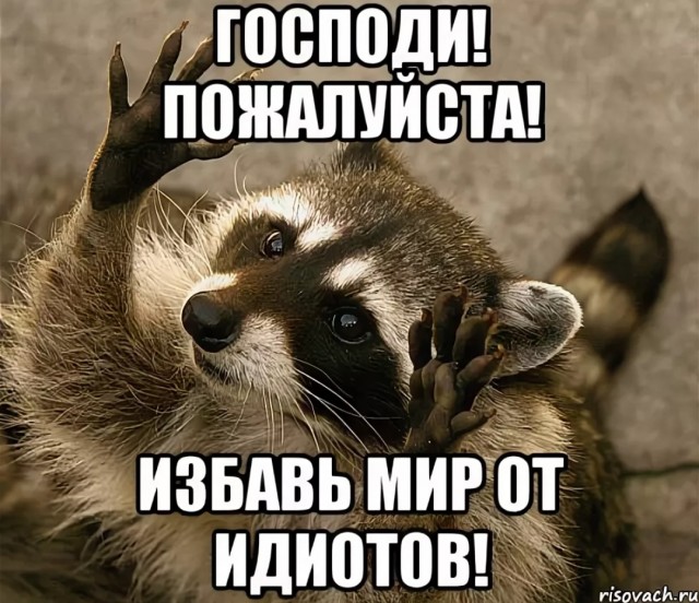 В Израиле устроят жертвоприношение, предсказанное Библией. Его готовят сектанты, которые хотят приблизить конец света
