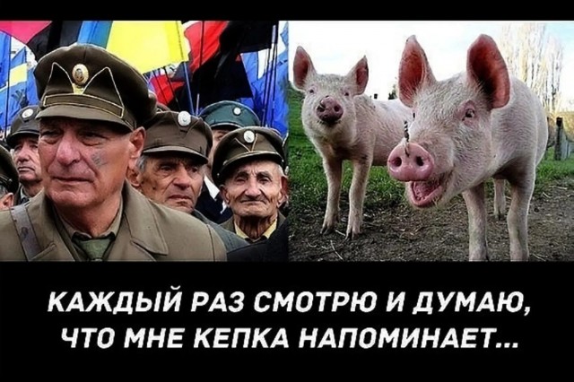 Ловкач