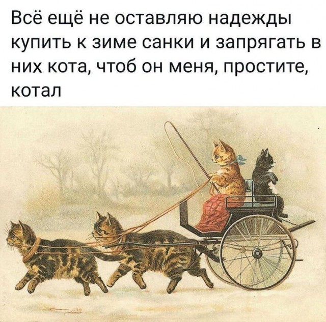 Нуштош 18.05.2024