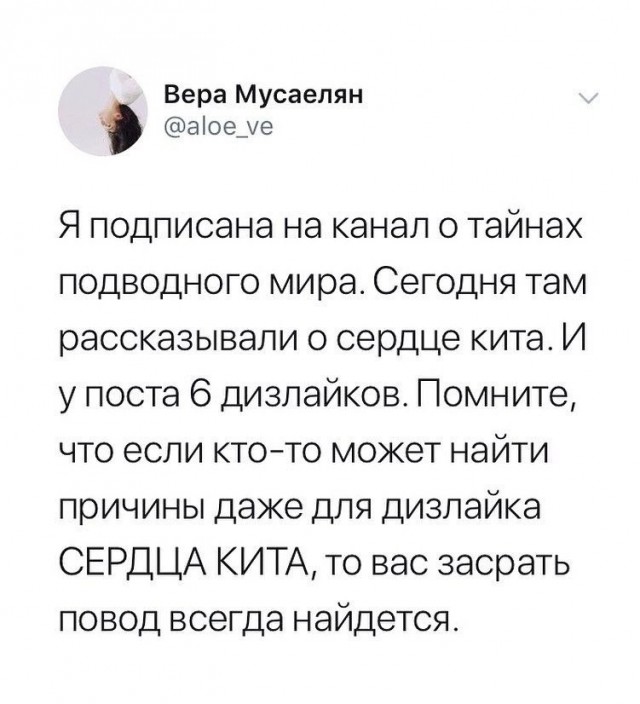 Никакие картинки