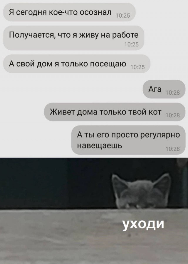 Котовтоник в картинках