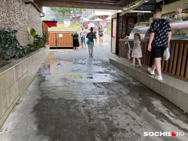 Туристы и жители Сочи просят ликвидировать сливы канализации в море