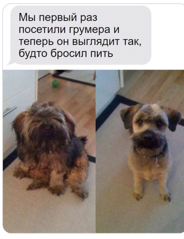 Завалялось тут случайно немного забавных картинок