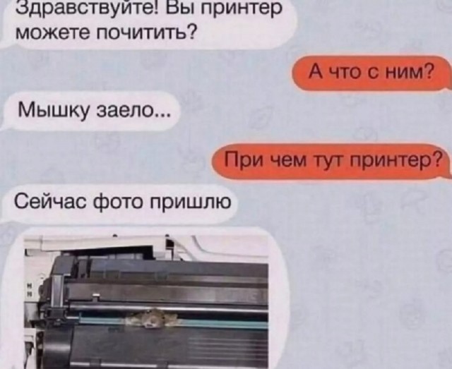 Так себе картинки 25.03.25
