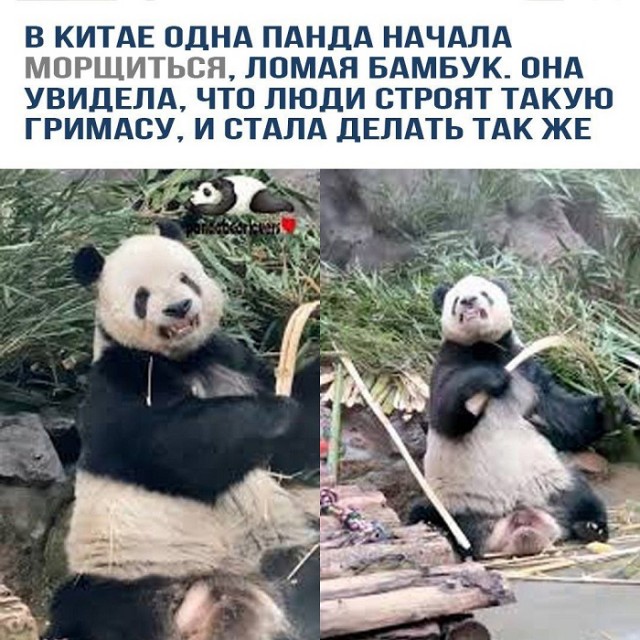 Картинки разные с надписями и без