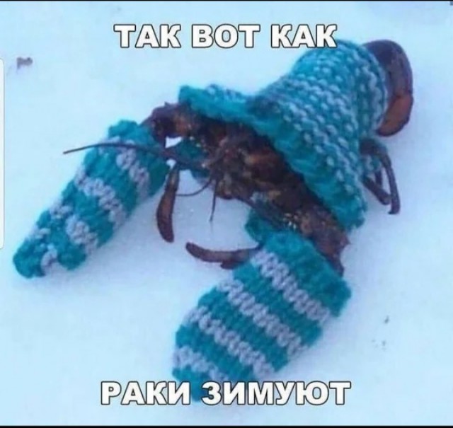 Немного е*анины на субботу