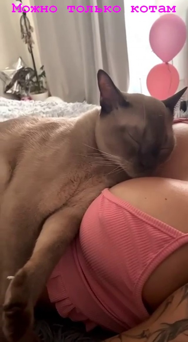 Забавные и не очень скромные картинки - 6