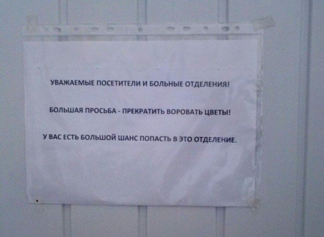 Так себе картинки 18.08.25