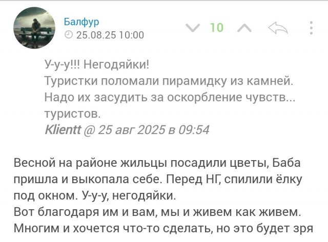 Неизвестный в чёрном капюшоне похитил клумбу с цветами в виде овечки