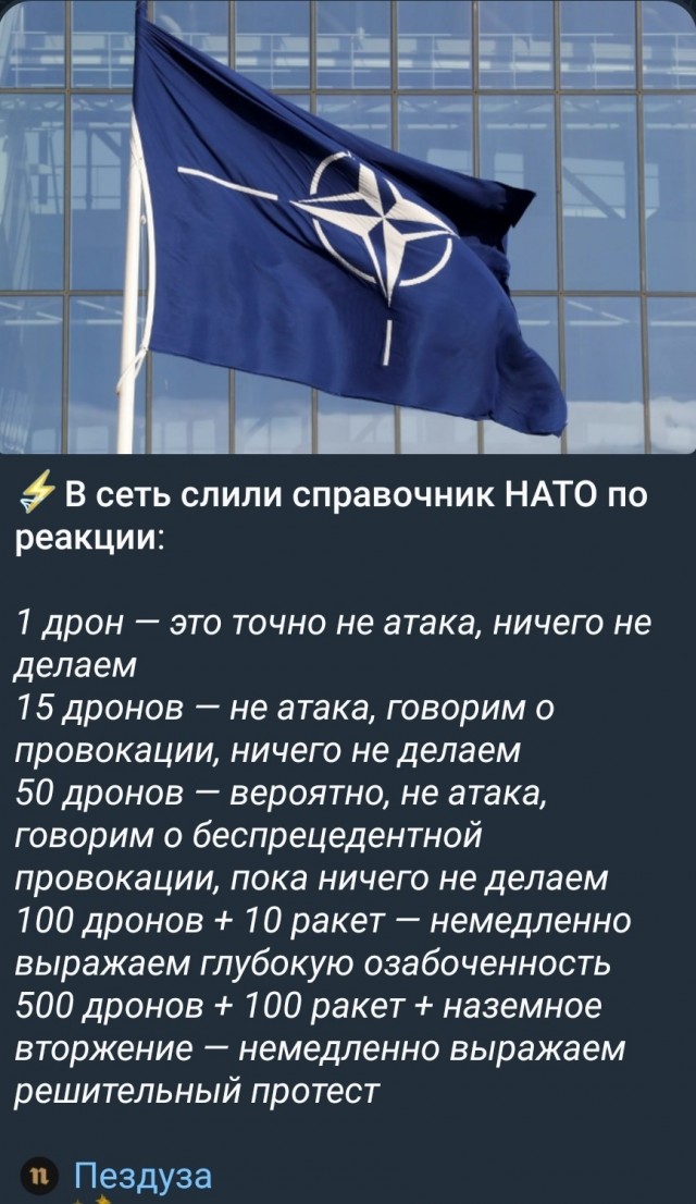 В Польше неизвестный снял с машины номера с украинскими номерами