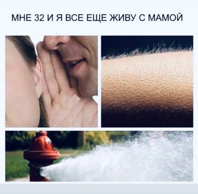 Пошлый и взрослый юмор
