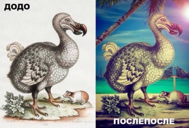 Небаянистая деградация