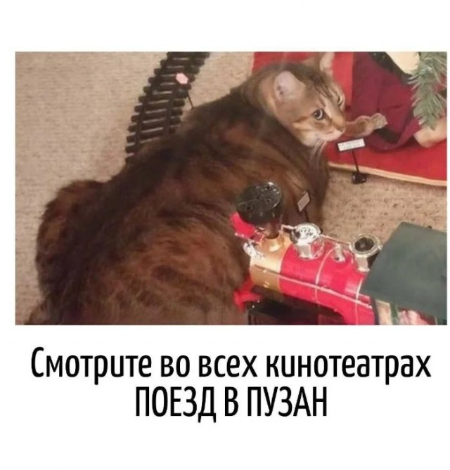 Игра слов в картинках 20.12.25