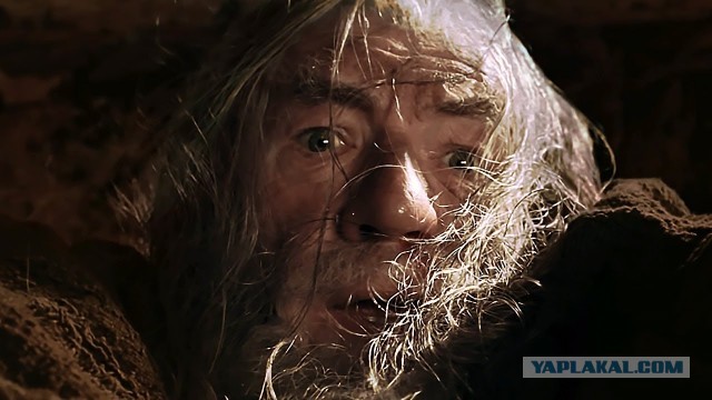 Штрафы за зумерство призвали ввести в России