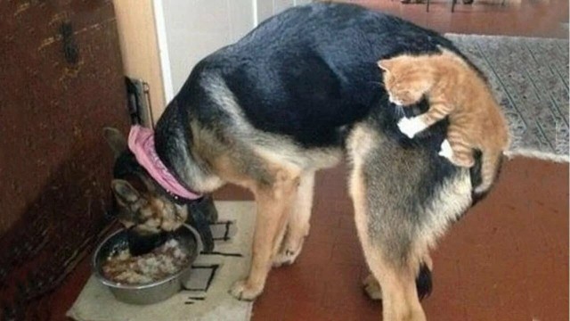 Пока не подружились