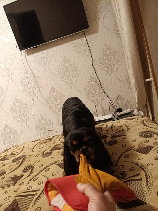 Привет Страна!