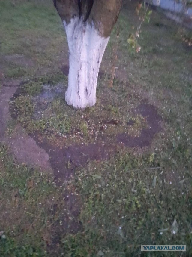 Не дать растаять Снегурчке. Нужна помощь всесильного Япа.