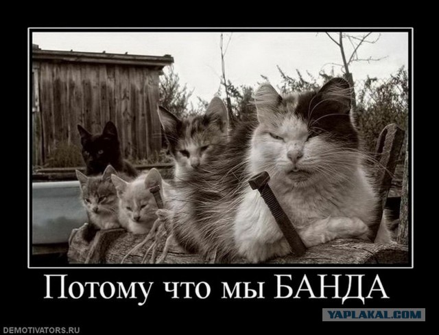 Банда