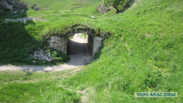Жемчужина на камнях