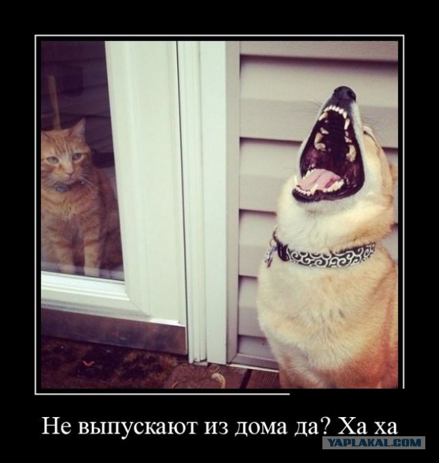 Подборка картинок