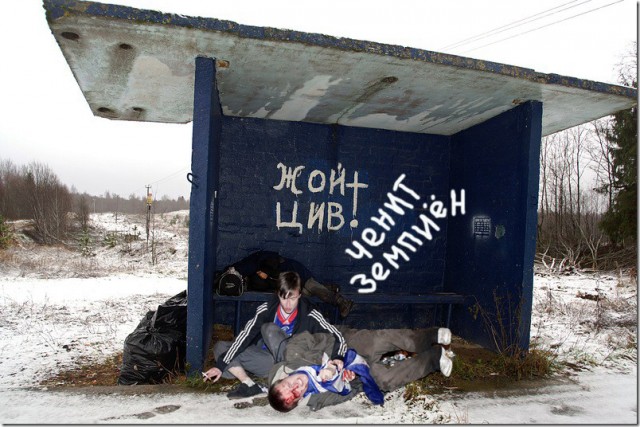 А Жой-то - Цив!
