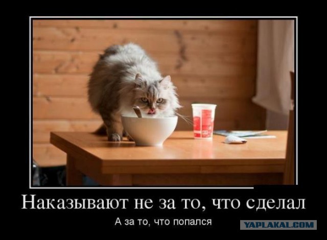 Демотиваторы 30