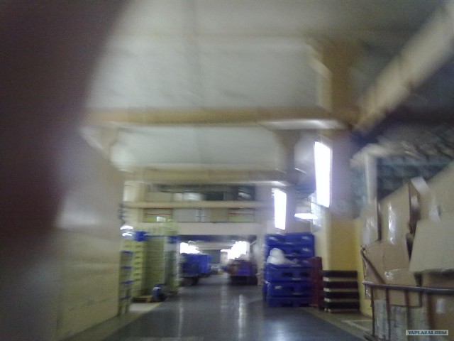 Один из моих рабочих дней