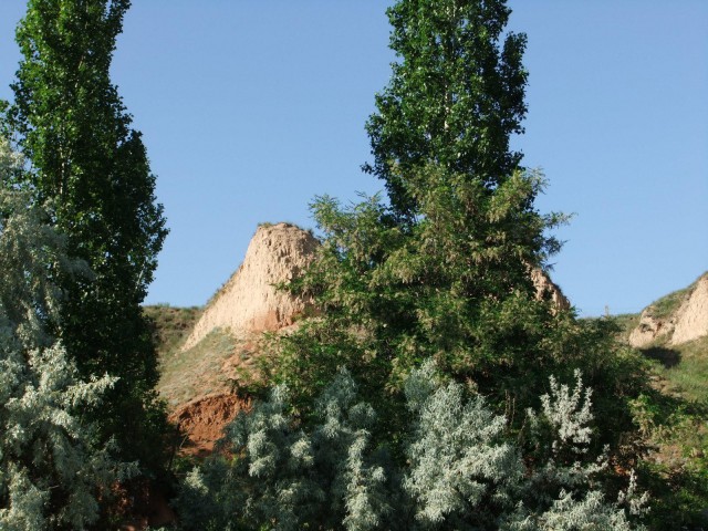 Отдохнули в Очакове