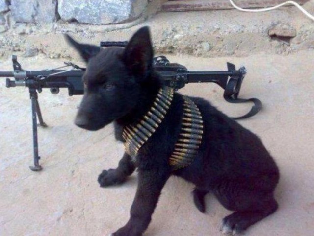 Что это за пулемет?